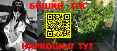 МДПВ Татарск