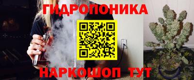МДПВ Татарск