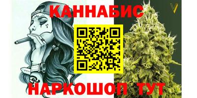 МДПВ Татарск