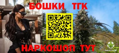 МДПВ Татарск