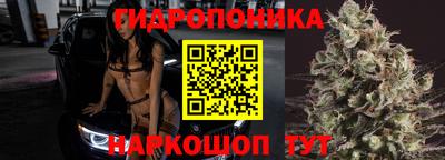прущие крисы Тара