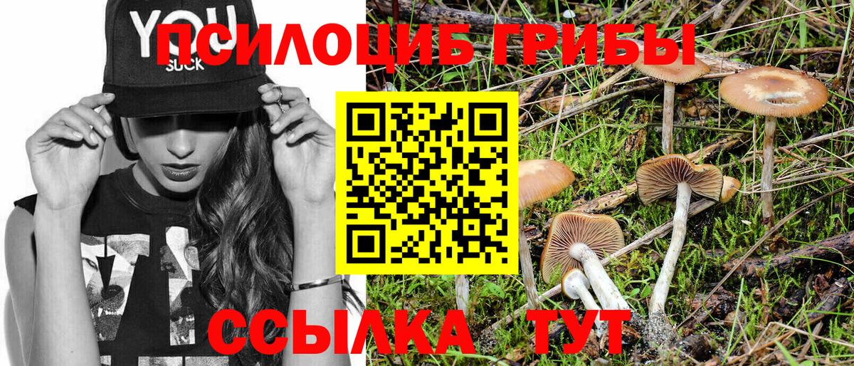 Псилоцибиновые грибы MAGIC MUSHROOMS Отрадное