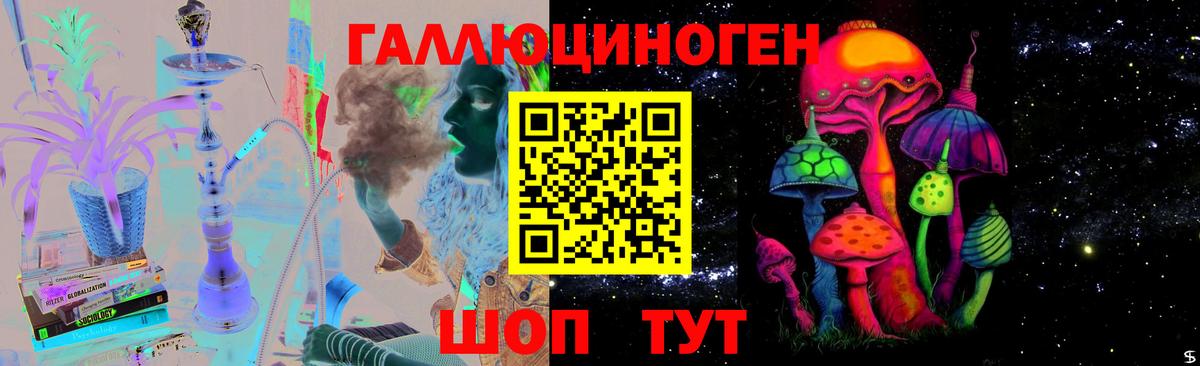 Галлюциногенные грибы GOLDEN TEACHER  Псилоцибиновые грибы MAGIC MUSHROOMS  хочу наркоту  Отрадное  Вход с VPN 